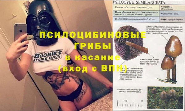 COCAINE Горно-Алтайск