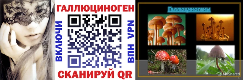 Галлюциногенные грибы Psilocybine cubensis  Михайлов 