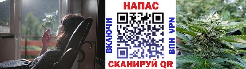 Бошки Шишки MAZAR  Михайлов 